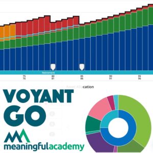 Meaningful Academy: A taste of Voyant GO